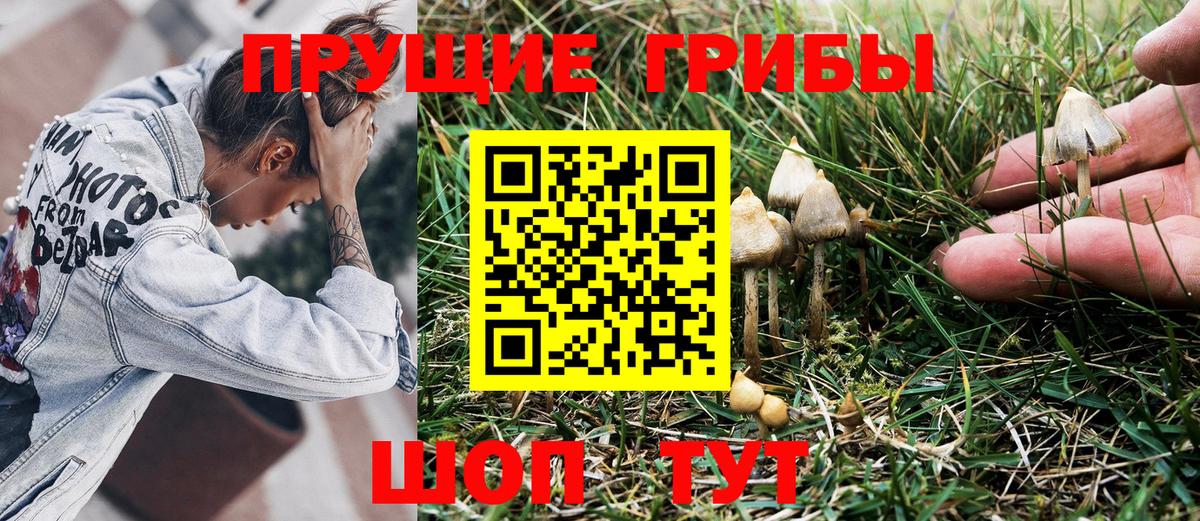 Галлюциногенные грибы ЛСД Миллерово