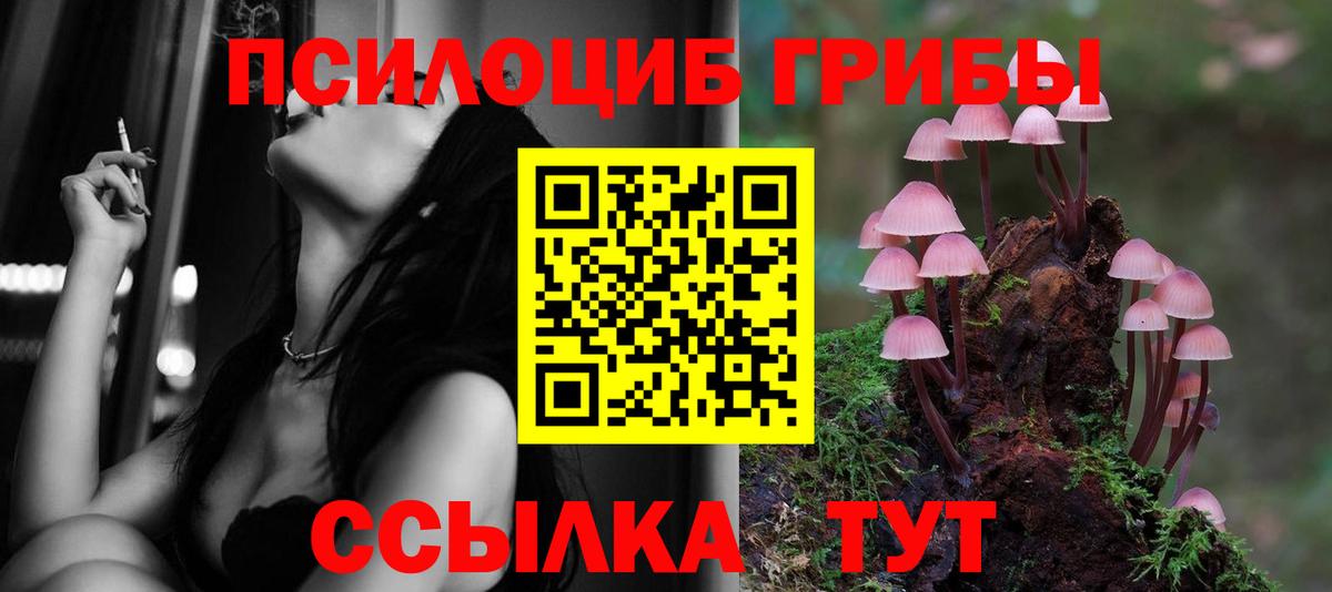 где купить наркотик  Галлюциногенные грибы Psilocybine cubensis  Вход с VPN  Миллерово 